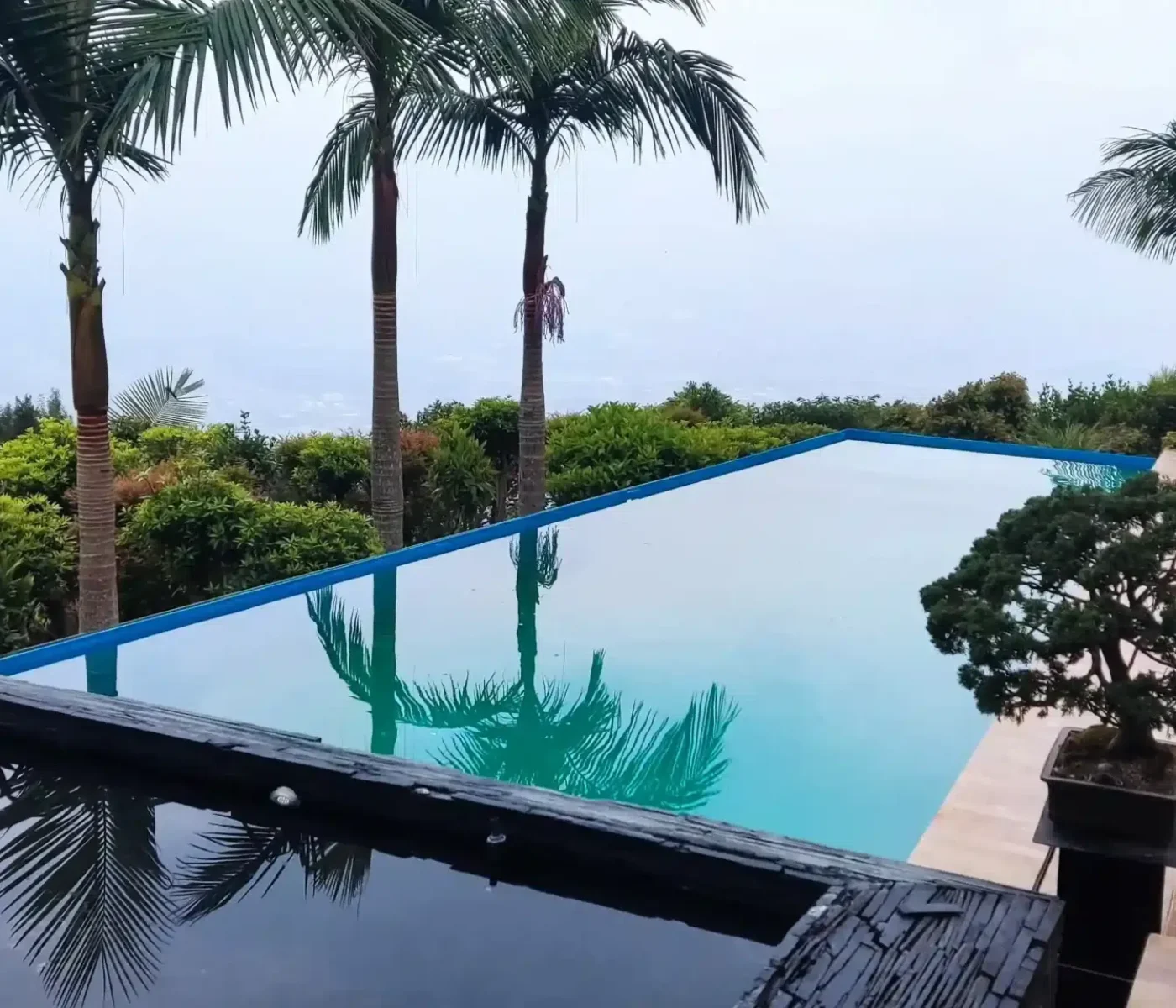 Piscina infinita rodeada de palmeras y vegetación tropical en Palmas, Medellín, con terraza de madera. Proyecto de diseño de lujo por Piscinas Bluespace